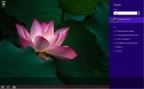 Windows 8.1 Pro VL 9600.18146 x86-x64 RU PIP FINAL 2015