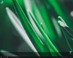 Windows 10 Enterprise (x86) by SLO94 v.08.01.16 [Ru]