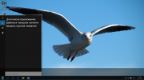 Win 10 Enter v.164 AeroBlur (Full-Post-Install)-Optimal Speed(x64) by Bella and Mariya (20) Win 10 Enter v.164 AeroBlur (Full-Post-Install)-Optimal Speed(x64) by Bella and Mariya (20)