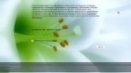 Windows 10 Pro + BootPe x64 mini RUS