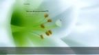 Windows 10 Pro + BootPe x64 mini RUS