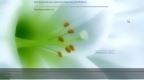 Windows 10 Pro + BootPe x64 mini RUS