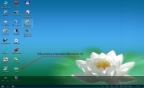Windows 10 Pro + BootPe x86 mini RUS