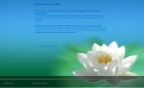 Windows 10 Pro + BootPe x86 mini RUS