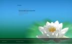 Windows 10 Pro + BootPe x86 mini RUS