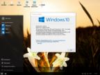 Win 10 LTSB 240 (ULTRO-100 Tweak)(x64) by Bella and Mariya (2016) [RUS]