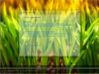 Windows 8.1 Enterprise KottoSOFT v.14.16 (x86x64)