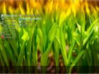 Windows 8.1 Enterprise KottoSOFT v.14.16 (x86x64)