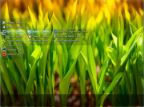 Windows 8.1 Enterprise KottoSOFT v.14.16 (x86x64)