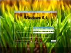 Windows 8.1 Enterprise KottoSOFT v.14.16 (x86x64)