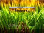 Windows 8.1 Enterprise KottoSOFT v.14.16 (x86x64)