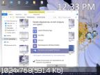 Windows 10 Home.V.318 (Pedantic User)(x64)