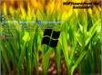 Windows 7x64 Ultimate KottoSOFT