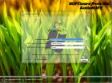 Windows 7x64 Ultimate KottoSOFT