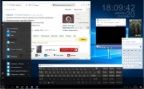 Microsoft Windows 10 Pro 14393 x86-x64 RU MICRON