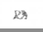 Ra Bright Edition [Ru/En]
