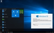 Microsoft Windows 10 Pro 14393.103 x86-x64 RU BOX-PIP