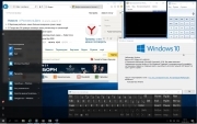 Microsoft Windows 10 Pro 14393.103 x86-x64 RU MICRO