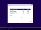 Windows 10 Redstone 2 [14901.1000] (x86-x64) AIO [28in2] adguard (v16.08.12)