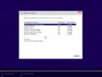 Windows 10 Redstone 2 [14901.1000] (x86-x64) AIO [28in2] adguard (v16.08.12)