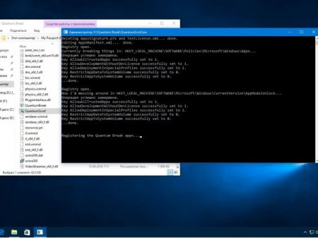 Microsoft Windows 10 Pro 14393.105 x86-x64 RU LITE v2