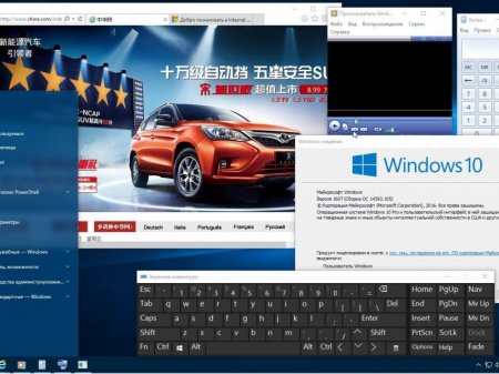 Microsoft Windows 10 Pro 14393.105 x86-x64 RU MICRO