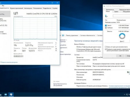 Microsoft Windows 10 SingleLanguage 14393.206 x64 RU BOX-MICRO