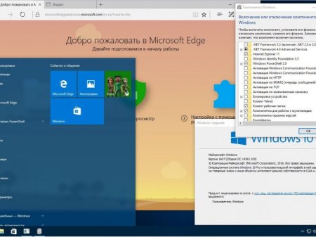 Windows 10 Pro 14393.105 x86-x64 RU LITE