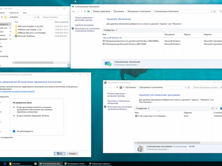Windows 10 Professional & Enterprise 10.0.14393 Version 1607 [2 in 1] v1 [Ru]