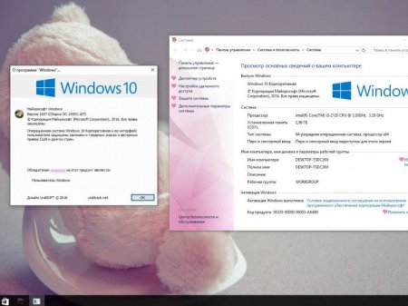 Windows 10 x86x64 Enterprise Update v.79.16