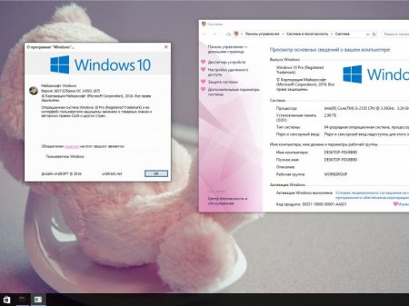 Windows 10 x86x64Pro Update by UralSOFT v.80.16