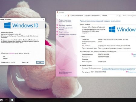 Windows 10 x86x64Pro Update by UralSOFT v.80.16