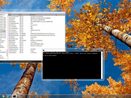 Windows 7 Professional SP1 KottoSOFT v.44