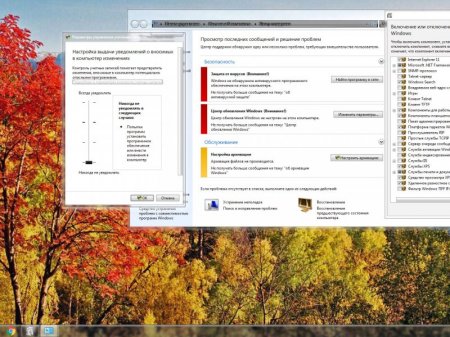 Windows 7 Professional SP1 KottoSOFT v.44