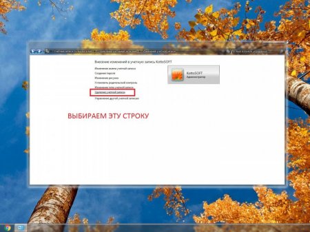 Windows 7 Ultimate SP1 KottoSOFT v.45