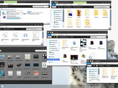Microsoft Windows 10 Professional vl x86-x64 1607 RU by OVGorskiy 10.2016 2DVD