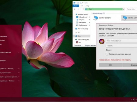 Windows 10 Pro 14393.223 x86-x64 RU BOX-MICRO