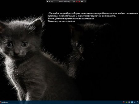 Windows 10 Pro x64 1607(14393.222) (for-SSD) v5 Xalex