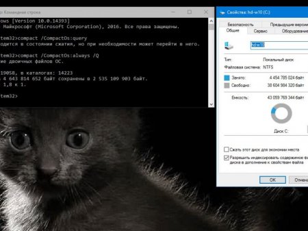 Windows 10 Pro x64 1607(14393.222) (for-SSD) v5 Xalex