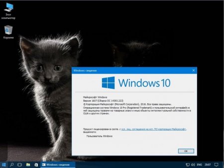 Windows 10 Pro x86 1607(14393.223) (for-SSD) v5 xalex