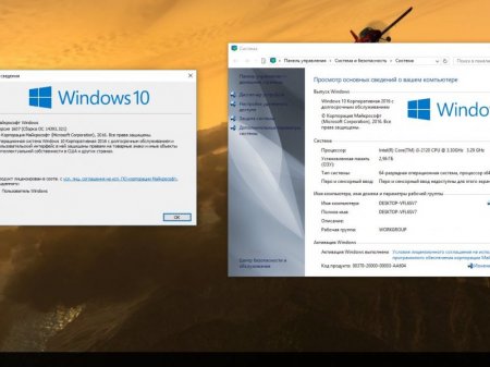 Windows 10 x86x64 Enterprise LTSB 14393.321 by UralSOFT v.90.16