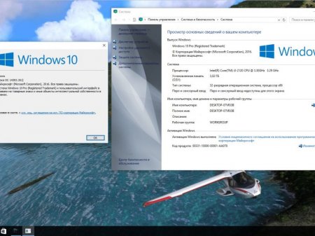 Windows 10 x86x64 Pro 14393.351 by UralSOFT v.91.16