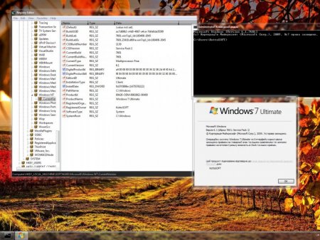 Windows 7 Ultimate SP1 Lite KottoSOFT v.47