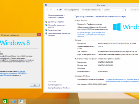 Windows 8.1 with Update [9600.18505] (x86-x64) AIO [32in2] adguard (v16.10.18)