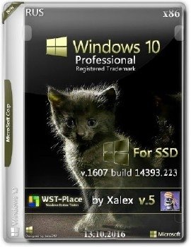 Windows 10 Pro x86 1607(14393.223) (for-SSD) v5 xalex