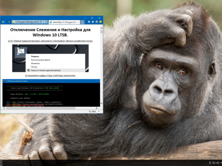 Windows 10 Enterprise LTSB 2016 v1607 (x86/x64) by LeX_6000 [10.11.2016] [RU]