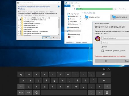 Windows 10 Pro 14393.447 x86-x64 RU PIP