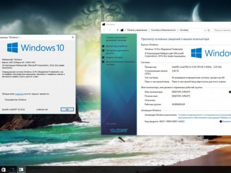 Windows 10 x86x64 Pro 14393.447 by UralSOFT v.98.16