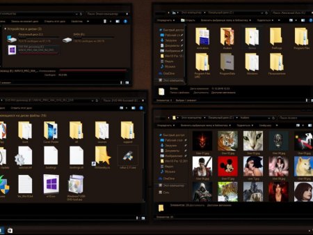 Windows 10 Professional vl x86-x64 1607 RU by OVGorskiy 12.2016 2DVD