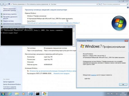 Windows 7 Professional SP1 x86/x64 Original Compact by A.L.E.X 12.2016